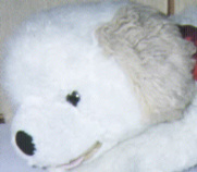 plush toy dog