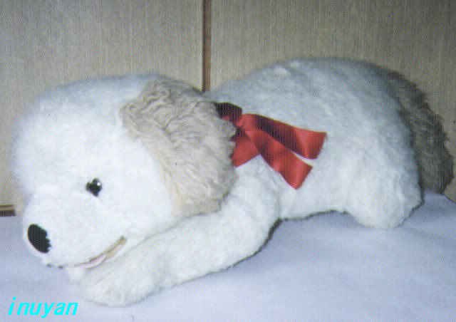 plush toy dog