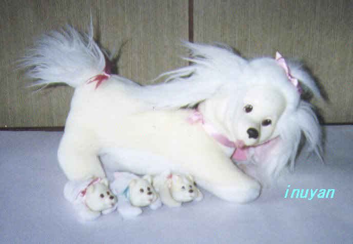 plush toy puppy surprise